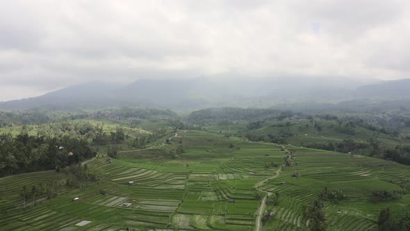 Drone footage of the rice field heritage location, Jatiluwih in Bali alt