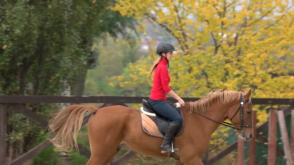 Sporty Female Jockey Practice Riding alt