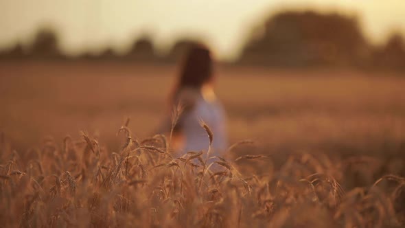 Peaceful Slender Lady Walking Slowly Across the Field