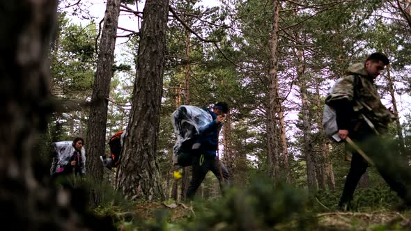 Tourists Walking In Forest alt