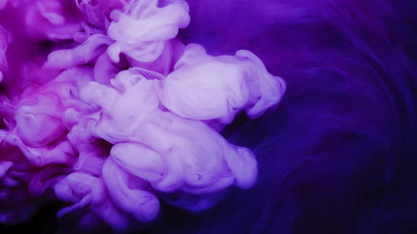 Liquid Art, Purple and White Creative Paint Mix alt