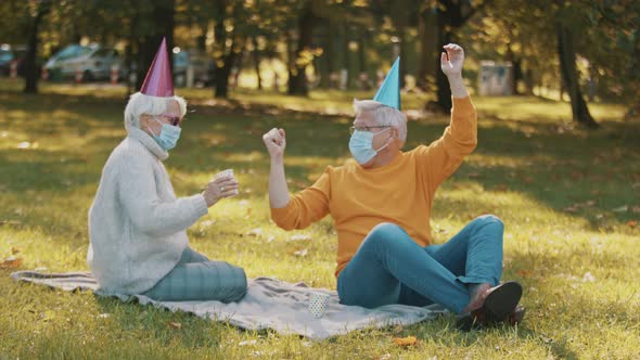 Anniversary Celebration in the Park During Covid-19. Elderly Couple with Face Mask Having Funny alt