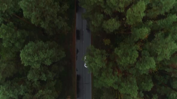 Aerial View of a Car Driving on a Forest Road