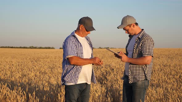 Farmer and Businessman with Tablet Working As a Team in Field. Agronomist and Farmer Are Holding a alt