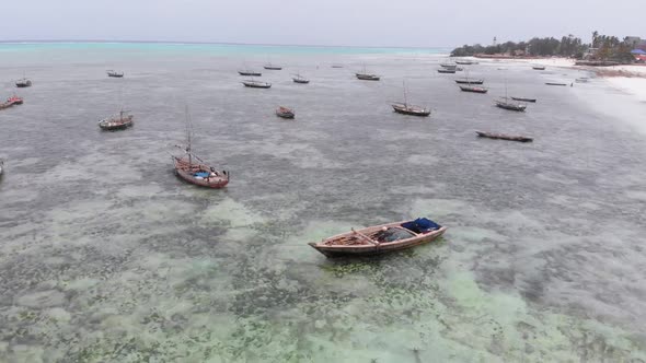 Lot Fishing Boats Stuck in Sand Off Coast at Low Tide Zanzibar Aerial View alt