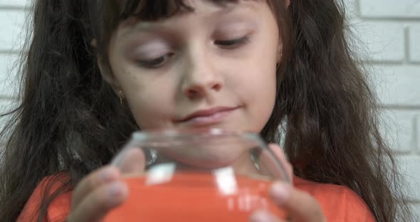 Ornamental fish in aquarium.  alt
