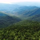 Forest Mountains Flyover - VideoHive Item for Sale