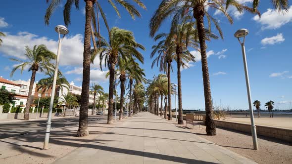 Beach Seaside Promenade Surrounded with Tall Palm Trees Moving Because of Wind on Sunny Summer Day
