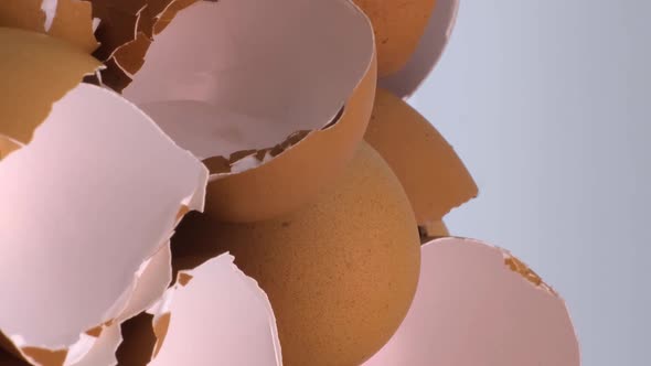 Vertical orientation video: Empty broken egg shells as brown color