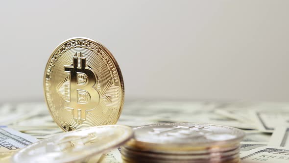 Bitcoin blooming. Online trading investments. Bitcoin cryptocurrency mining alt