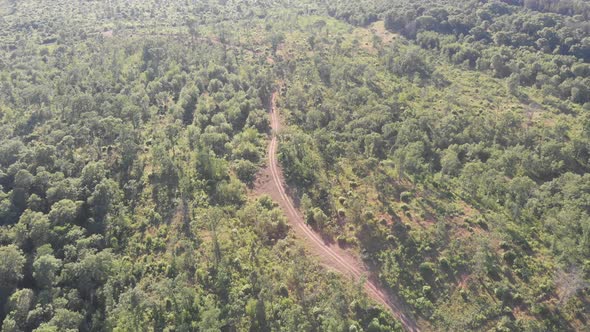 forest trail off road forest field access isolated america aerial drone tilt reveal horizon alt