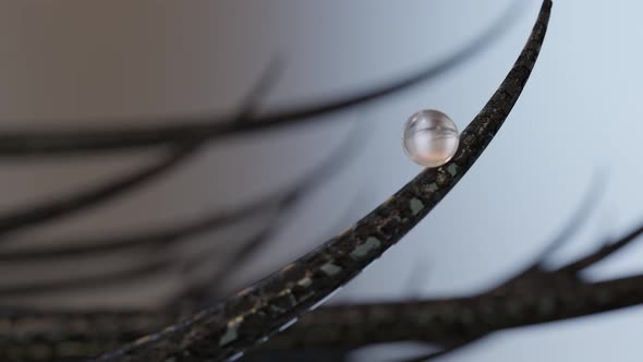 Hair maintenance and hair conditioning to make it smooth and shiny. Nourish the hair from the roots alt