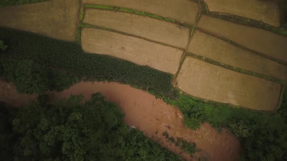 Aerial View of Lush Green Rain Forest Mountain 04 alt