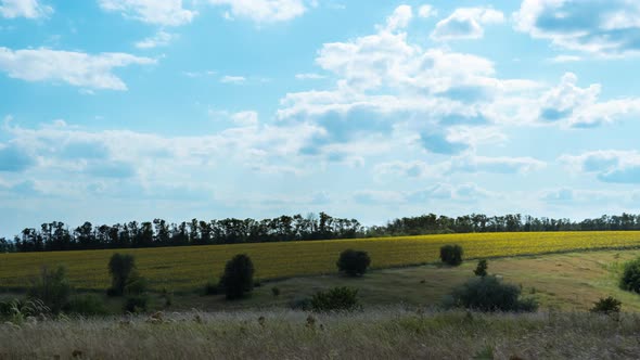 Moving Clouds in Blue Sky Above Landscape Fields. Timelapse. Amazing Rural Valley. Ukraine alt