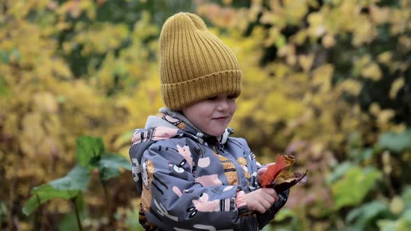 Cute Little Girl in Autumn Park