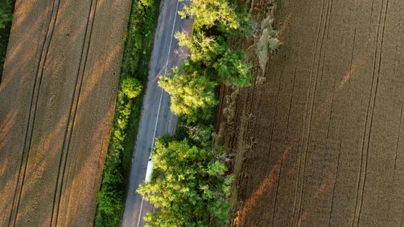 Aerial Drone View Flight Over Asphalt Road with Green Trees alt