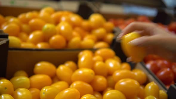 Woman Taking Tomatoes From Box Buying Organic Food on Farmers Market