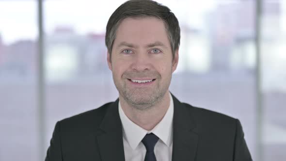 Portrait of Smiling Middle Aged Businessman Looking at the Camera  alt