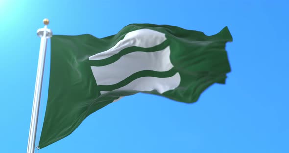 Hiroshima City Flag, Japan alt