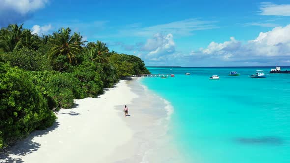 Single female posing on exotic island beach wildlife by blue water and white sand background of the  alt