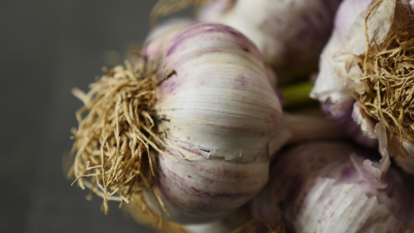 natural garlic in purple color,close-up bunch of garlic,garlics on rotating stand on black ground,