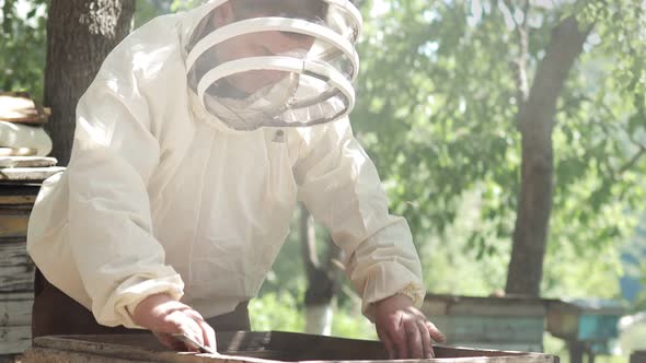 Beekeeper in a protective suit works with honeycombs. A farmer in a bee suit works with honeycombs alt