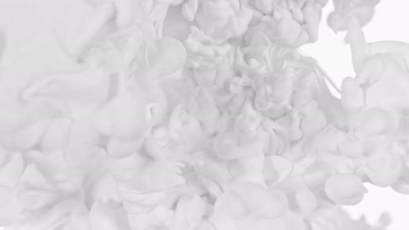 Super Slow Motion Shot of Abstract White Ink Flowing in Water at 1000Fps alt