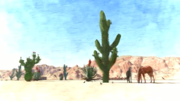 Desert Stop Motion