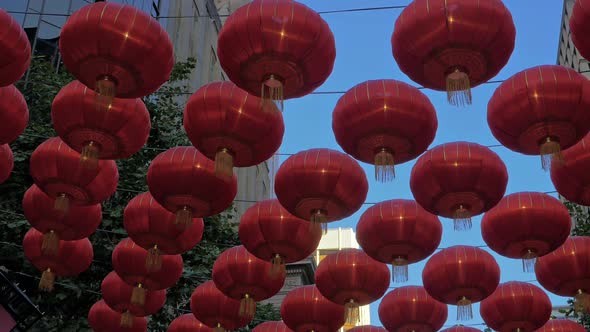 Chinese Lanterns, Lunar New Year alt