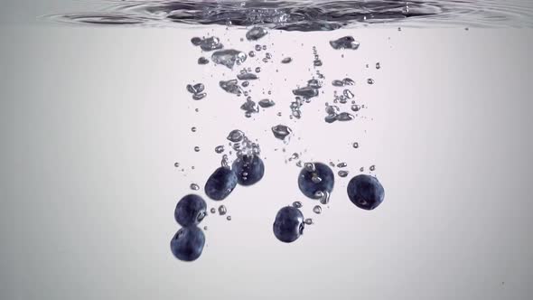 Blueberries falling in the water on white background alt