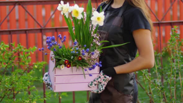 Woman with a box of flowers