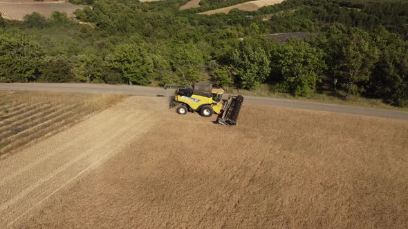 Wheat Harvesting with Combine Harvester Tractor in Agriculture Field alt