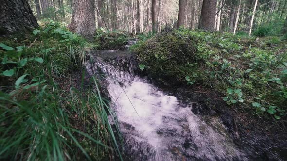 Mountain River with Rocks in Wood Slow Motion Footage Dolomites South Tyrol Italy alt