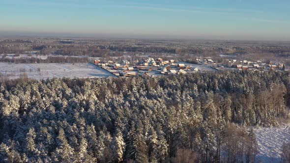 A Small Village in the Middle of a Pine Forest in Winter After Snowfall on a Bright Sunny Day