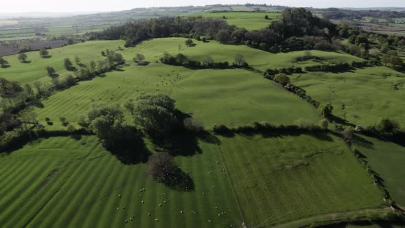 Meon Hill Cotswolds Panoramic Aerial Landscape Landslipe Sheep In Field Spring Season