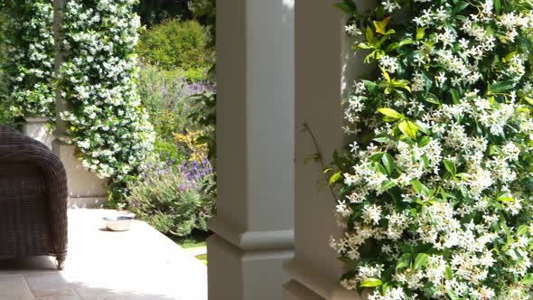Interior of corridor with sofa chair alt