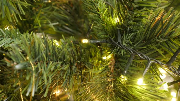 Close-up LED sparkling decoration  on the tree branch 4K 2160p 30fps UltraHD footage - Bright Christ alt