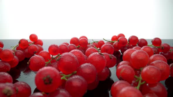 Ripe Organic Red Currants on a Glass Surface alt