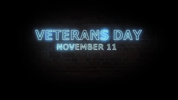 Veterans day. Text neon light on brick wall background.