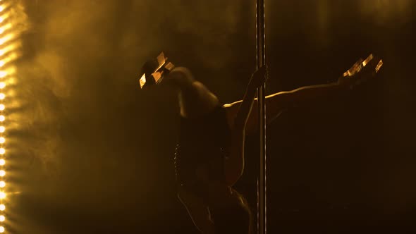 Exotic Pole Dance alt