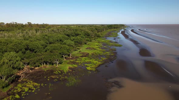 Natural tidal flats and mangrove forest, sediments deposited by tides and Rio de la Plata river at E alt