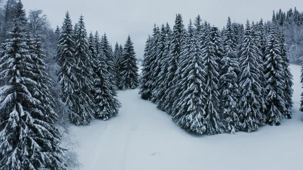 Aerial view of mountains with snow in Onnion, France. alt