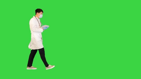 Young Asian Doctor Walks Looking at Documents on a Green Screen Chroma Key