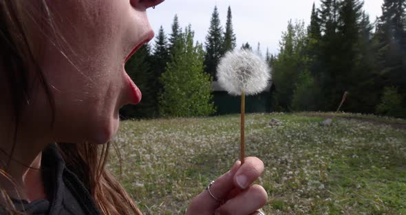 Closeup of Woman Blowing Dandelion Seeds alt