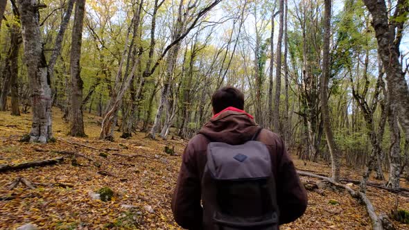 a Man with a Backpack Walks Alone on a Forest Road alt