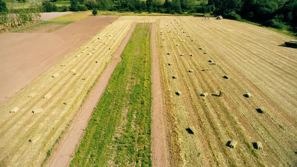 Agriculture Season. Agricultural Concept. alt