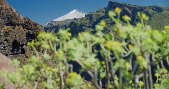 Spectacular Cinematic View on Snowy Peak of Volcano Teide From Masca Gorge Tenerife Canary Islands alt