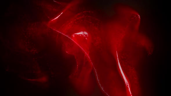 Red Magic Fluid Particles Background Loop