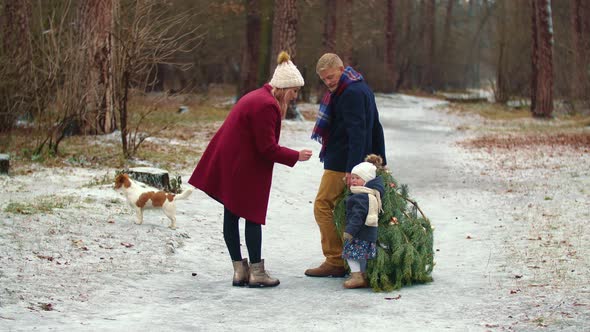 Family Carries a Tree in the Park alt