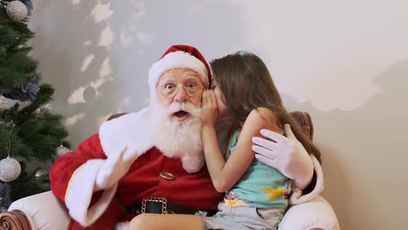 Little girl whispering in Santa's ear. Telling a secret. Revealing the gift you would like to win.